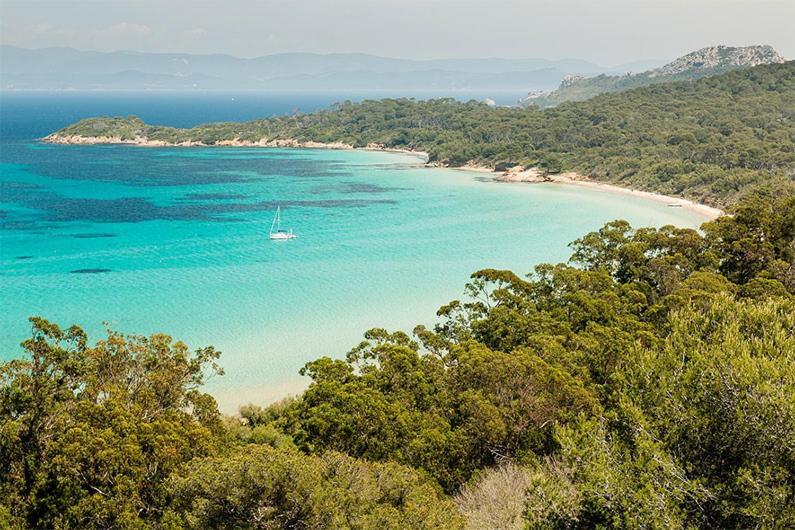 Joli Studio Entre La Mer Et La Ville Hyères Exterior foto